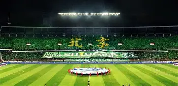 国安主场大胜,球迷沸腾欢呼连连的简单介绍 国安主场大胜,球迷沸腾欢呼连连的简单介绍